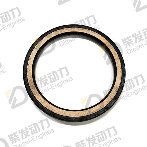 Crankshaft seal 8148259